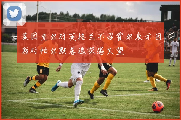 莱因克尔对英格兰不召霍尔表示困惑对帕尔默落选深感失望