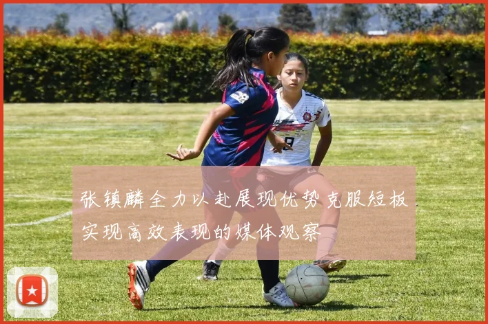张镇麟全力以赴展现优势克服短板实现高效表现的媒体观察